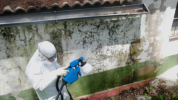 Top rated local Mold Inspection specialists in Highspire, PA